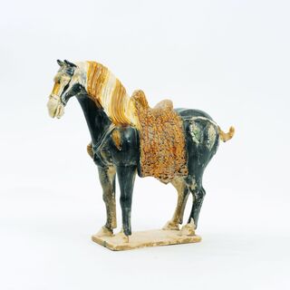 A Ferghana Horse