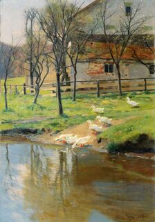 Ducks by a Farm House