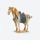 A Ferghana Horse - image 1