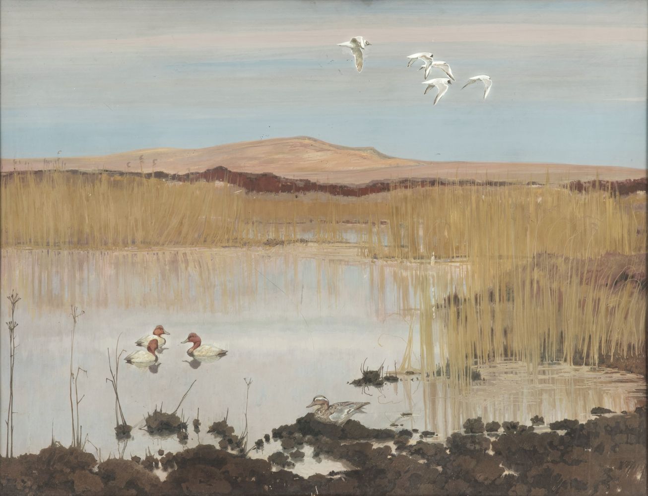 Friedrich Lissmann - Dünenlandschaft mit Lachmöwen, Tafelenten und Knäkente Dünenlandschaft mit Lachmöwen, Tafelenten und Knäkente