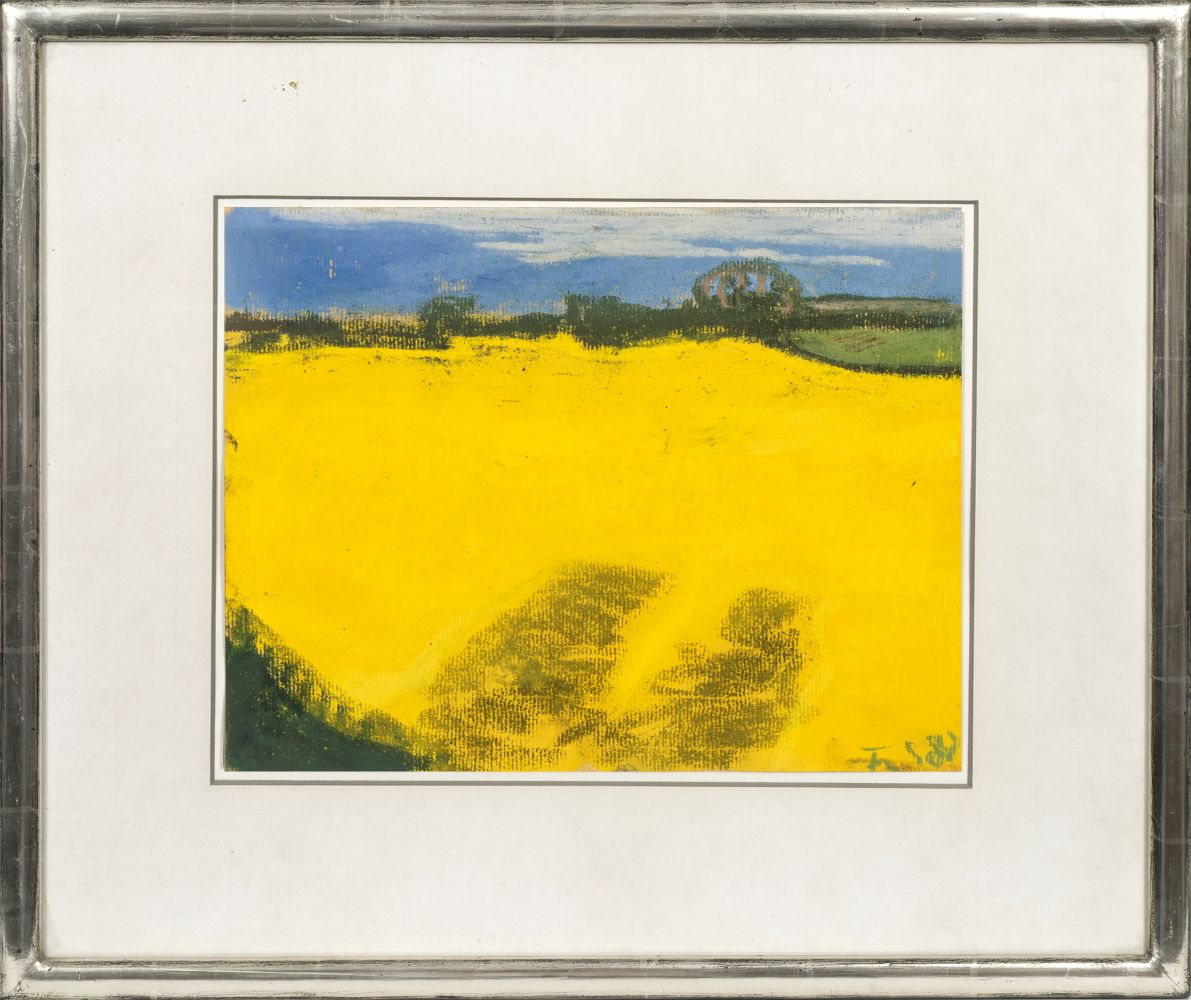Blossoming Rapeseed - image 2