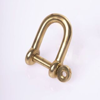A Gold Clasp