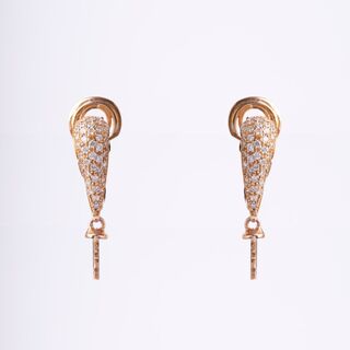 A Pair of Earrings with Diamonds