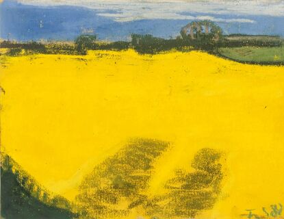 Blossoming Rapeseed