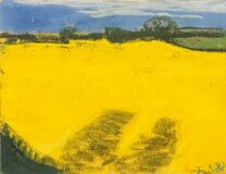 Blossoming Rapeseed - image 1