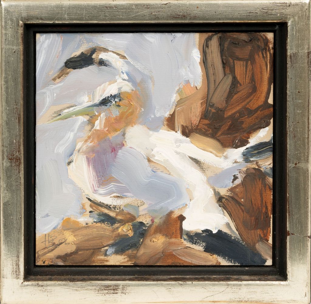 Northern Gannet - image 2