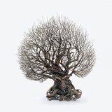 Großer Sylter Baum
