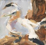 Northern Gannet - image 1