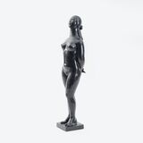 Pandora - image 2