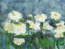 Dahlias - image 1