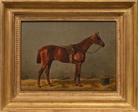 Brown Horse - image 2