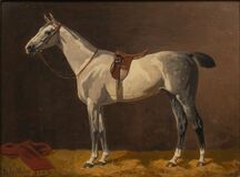 White Horse - image 1
