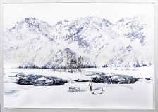 Winter - image 2