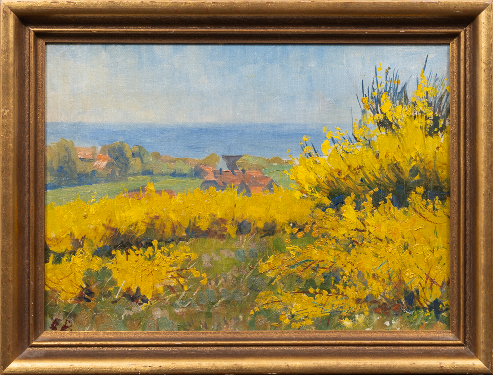 Hiddensee in Bloom - image 2