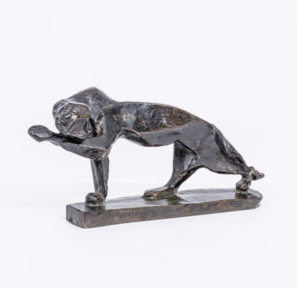 A Panther - image 2