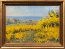 Hiddensee in Bloom - image 2