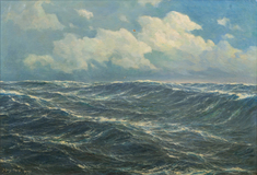 Open Sea - image 1