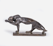 A Panther - image 1