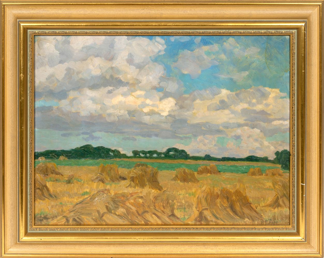 Field in Summer - image 2