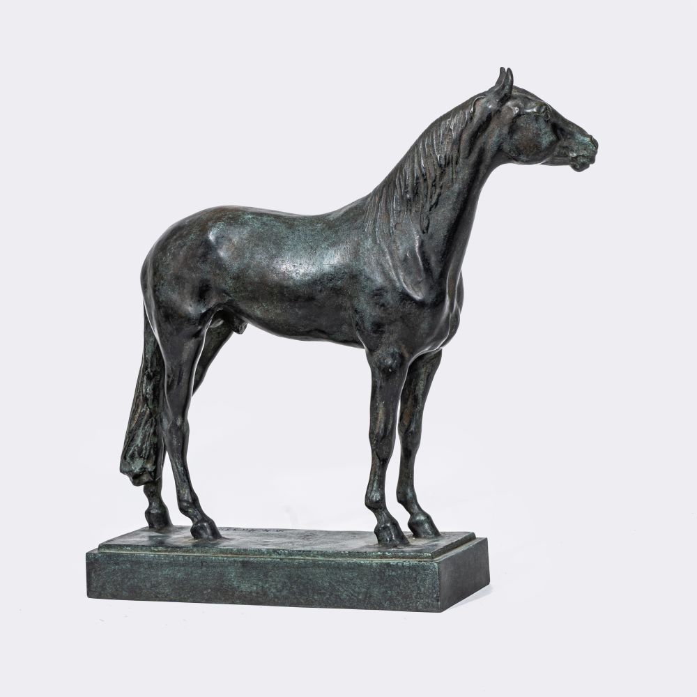 A Standing Stallion - image 3