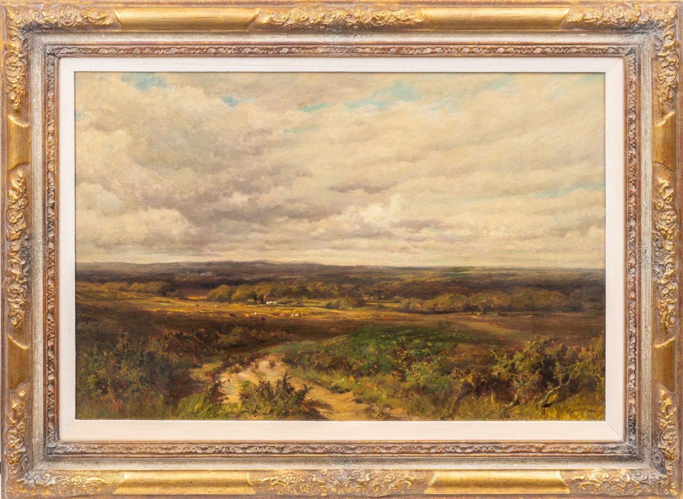 Extensive Landscape - image 2