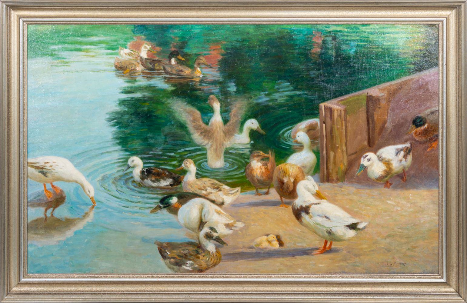 Enten am Ufer - Bild 2