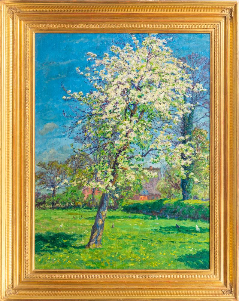 Blühender Obstbaum - Bild 2