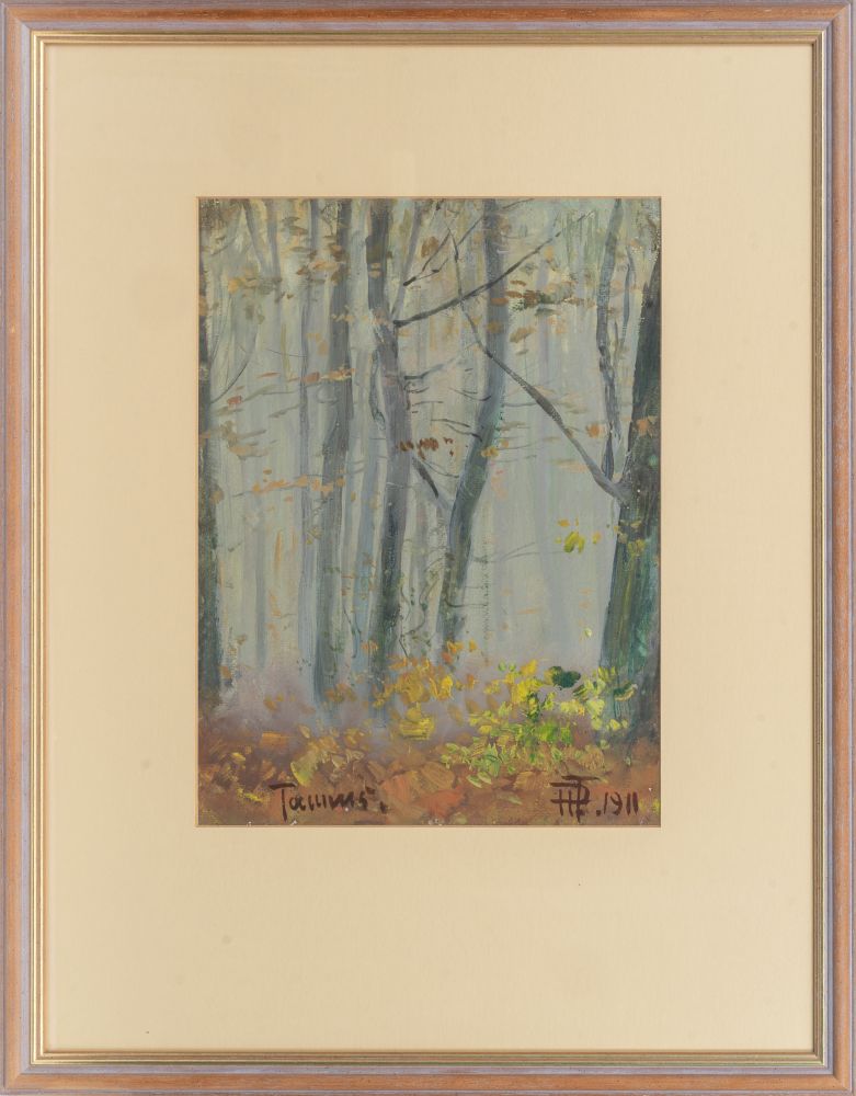 Misty forest in the Taunus - image 2