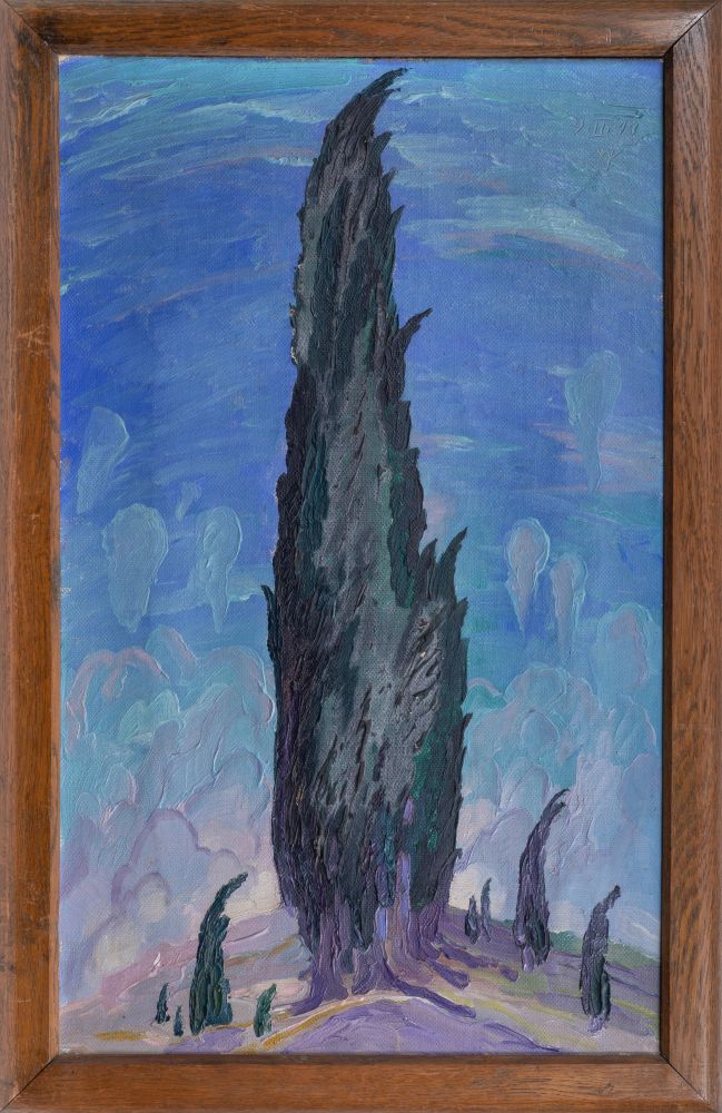 Cypress - Bosporus - image 2