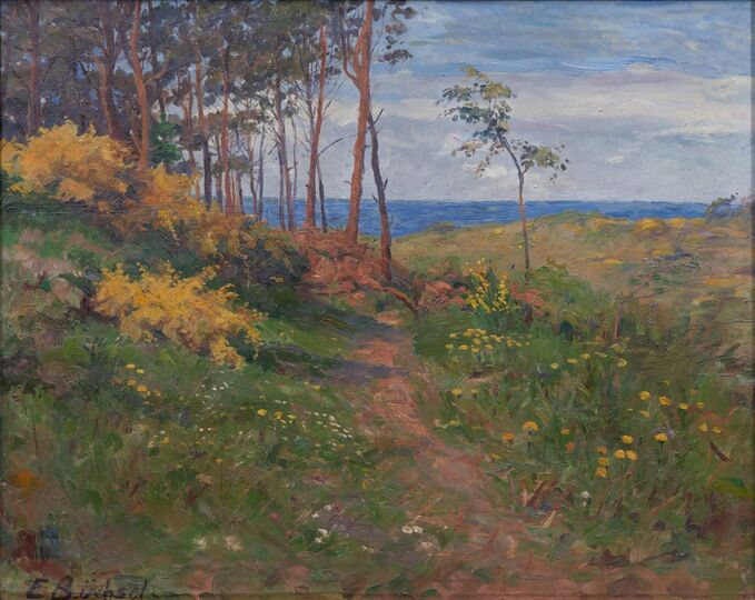 Blick auf die Ostsee