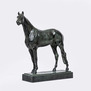 A Standing Stallion
