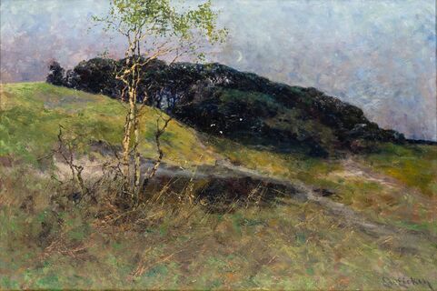 Landschaft mit Birke