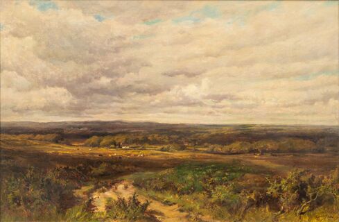 Extensive Landscape