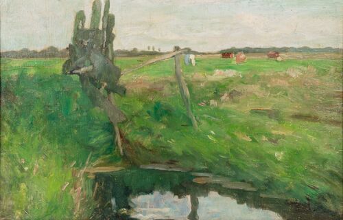 Marsh Landscape with Fence