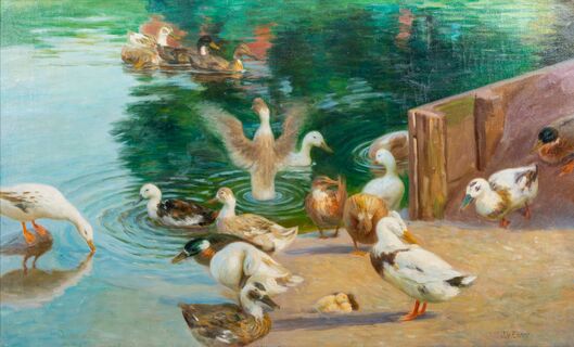 Enten am Ufer