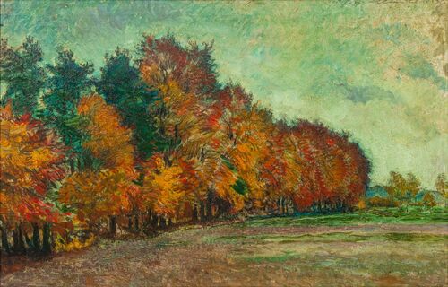 Autumn Forest