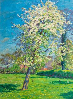 Blooming fruit tree