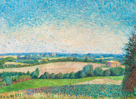 View over summery fields