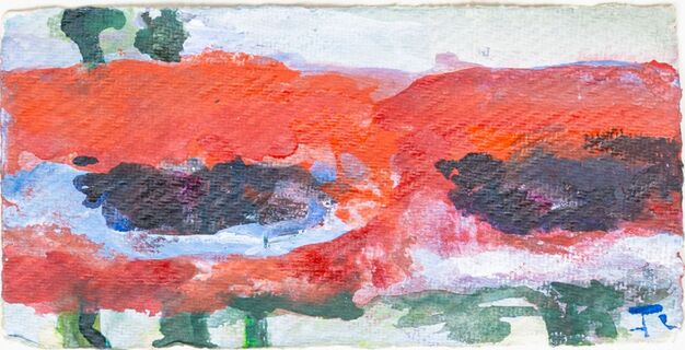 Poppies