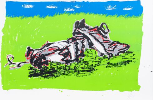 Fussballschuhe