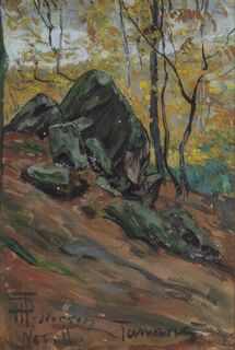 Felsen im Taunus