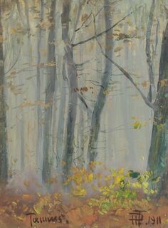 Wald im Nebel im Taunus