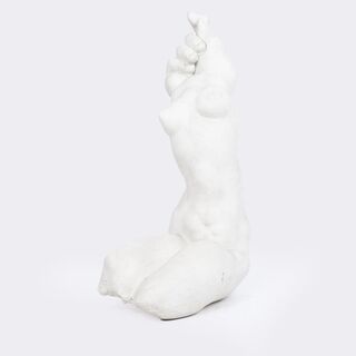 Weiblicher Hand-Torso