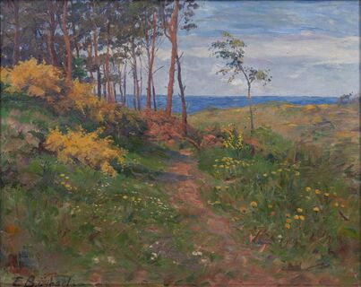 Blick auf die Ostsee