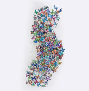 3D Wall Sculpture 'Passing with Flying Colours'
