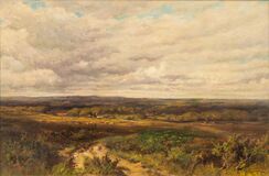 Extensive Landscape - image 1