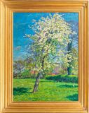 Blühender Obstbaum - Bild 2