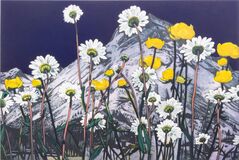 Alpenblumen - Bild 1