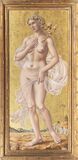 Venus - Bild 2