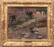 Calves on the Farm - image 2